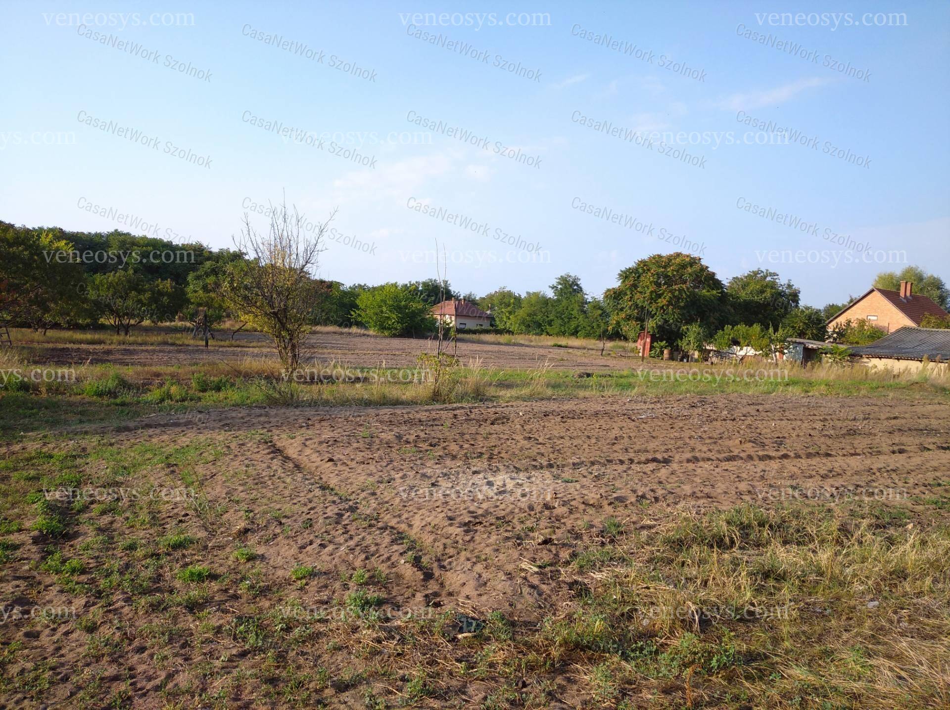 Kép 8