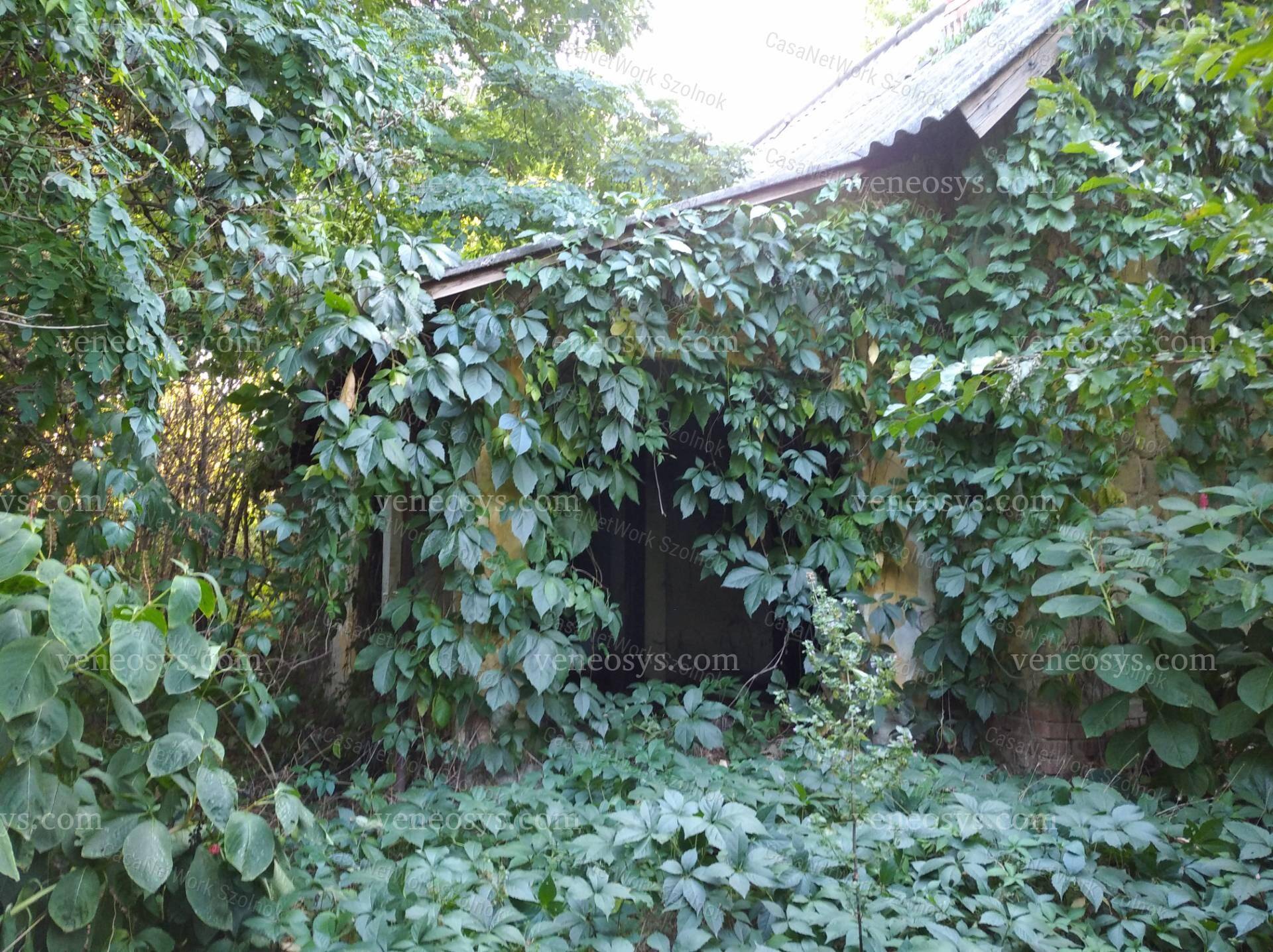 Kép 7