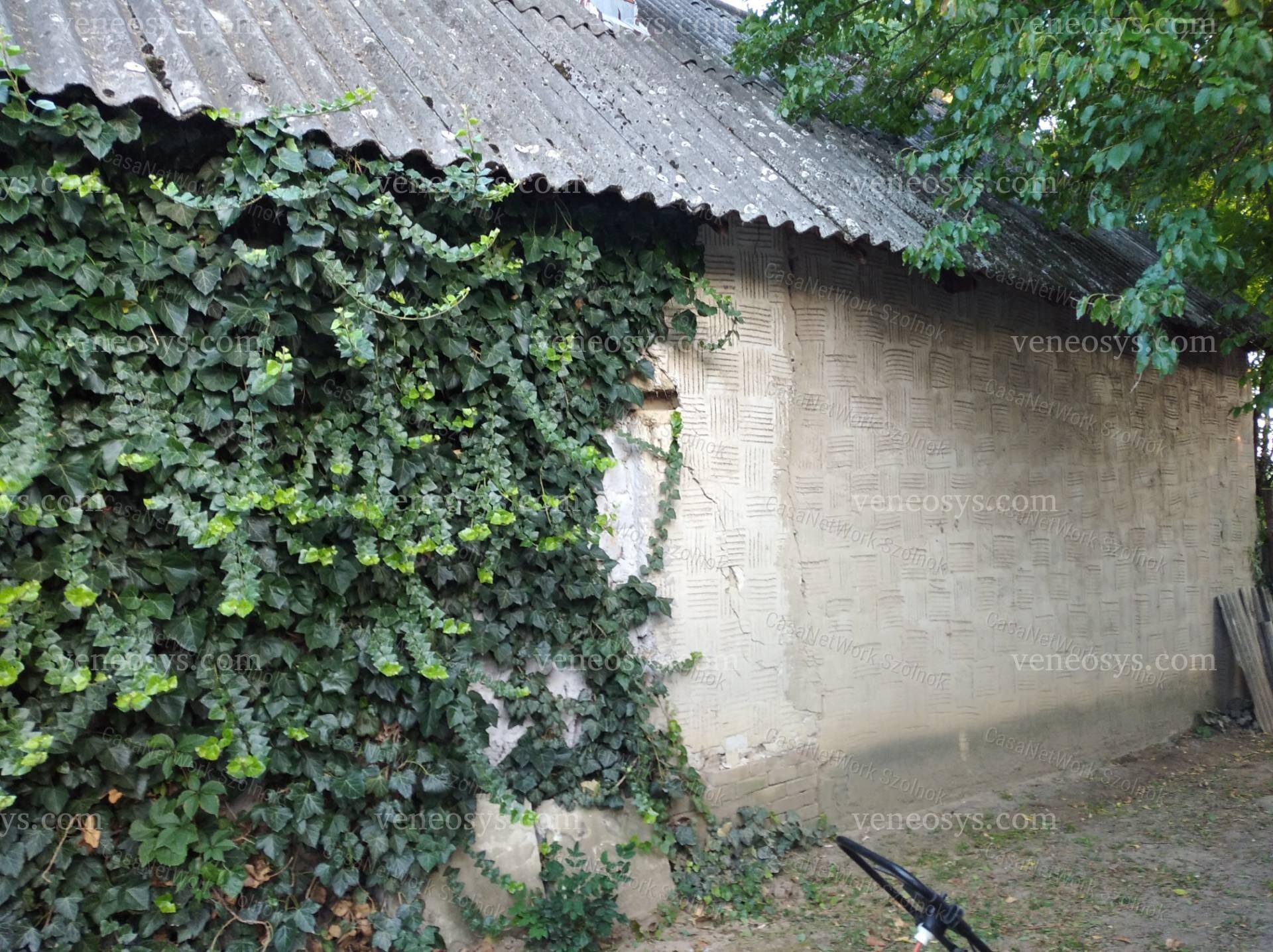 Kép 9