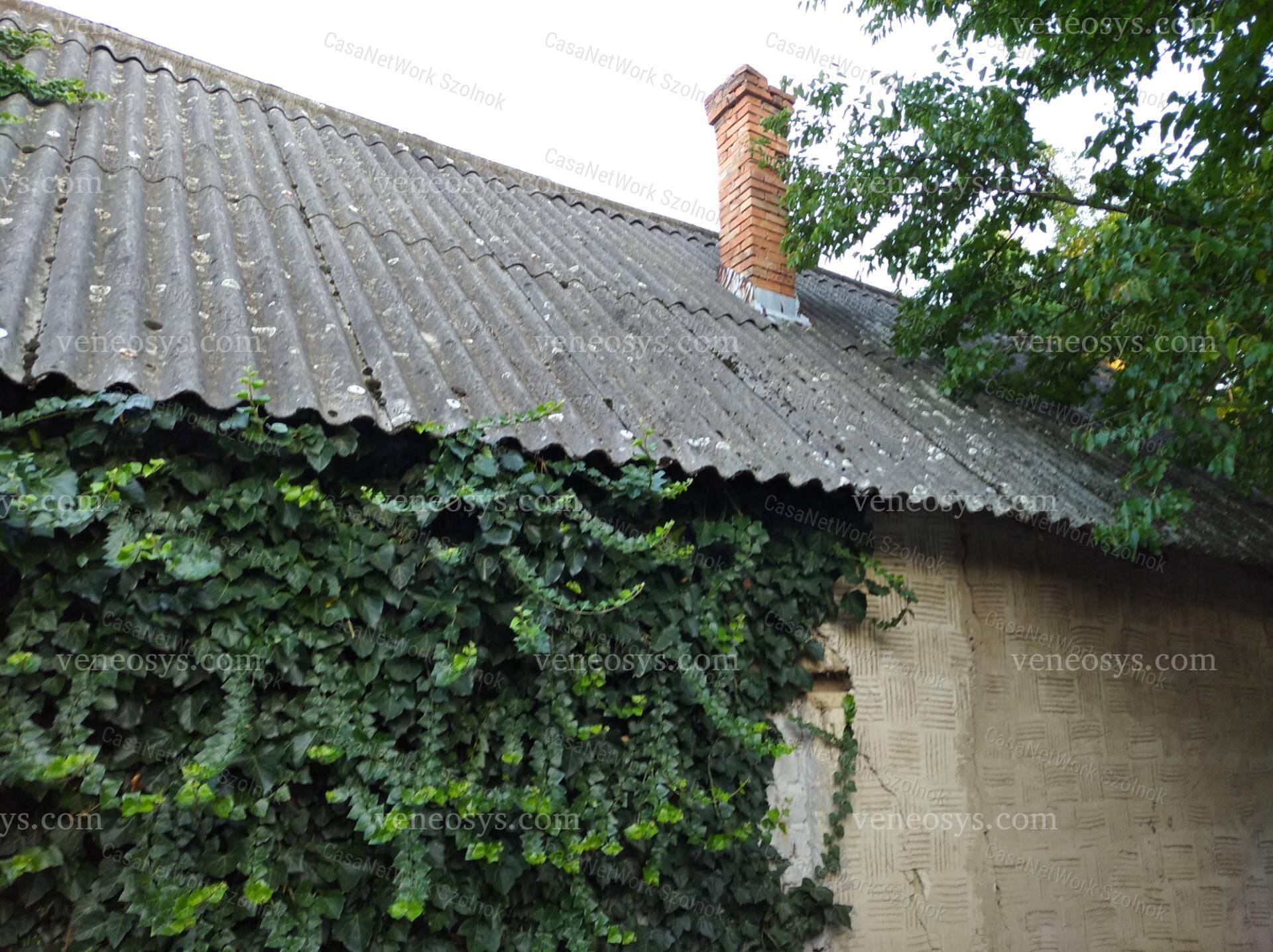 Kép 12