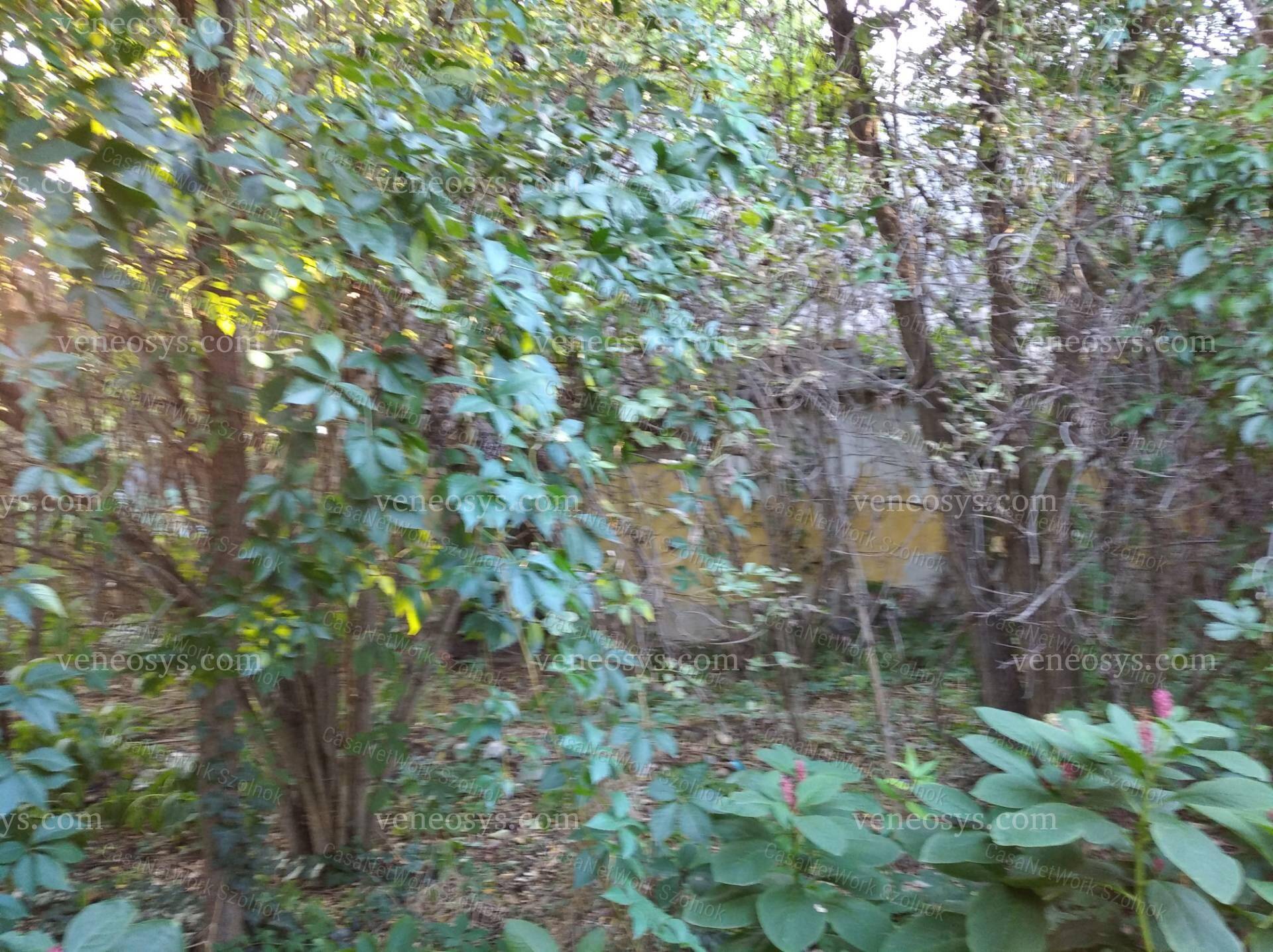 Kép 11