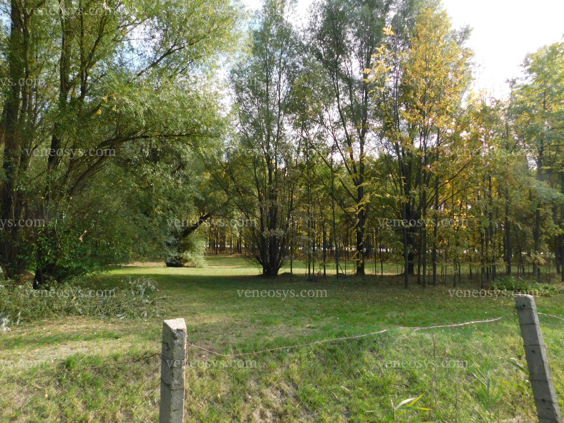 Kép 4