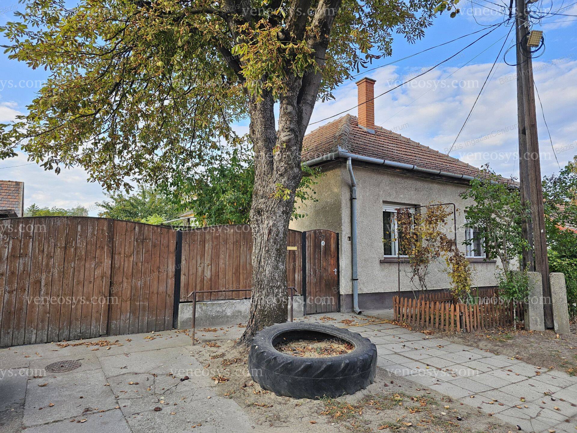 Kép 12