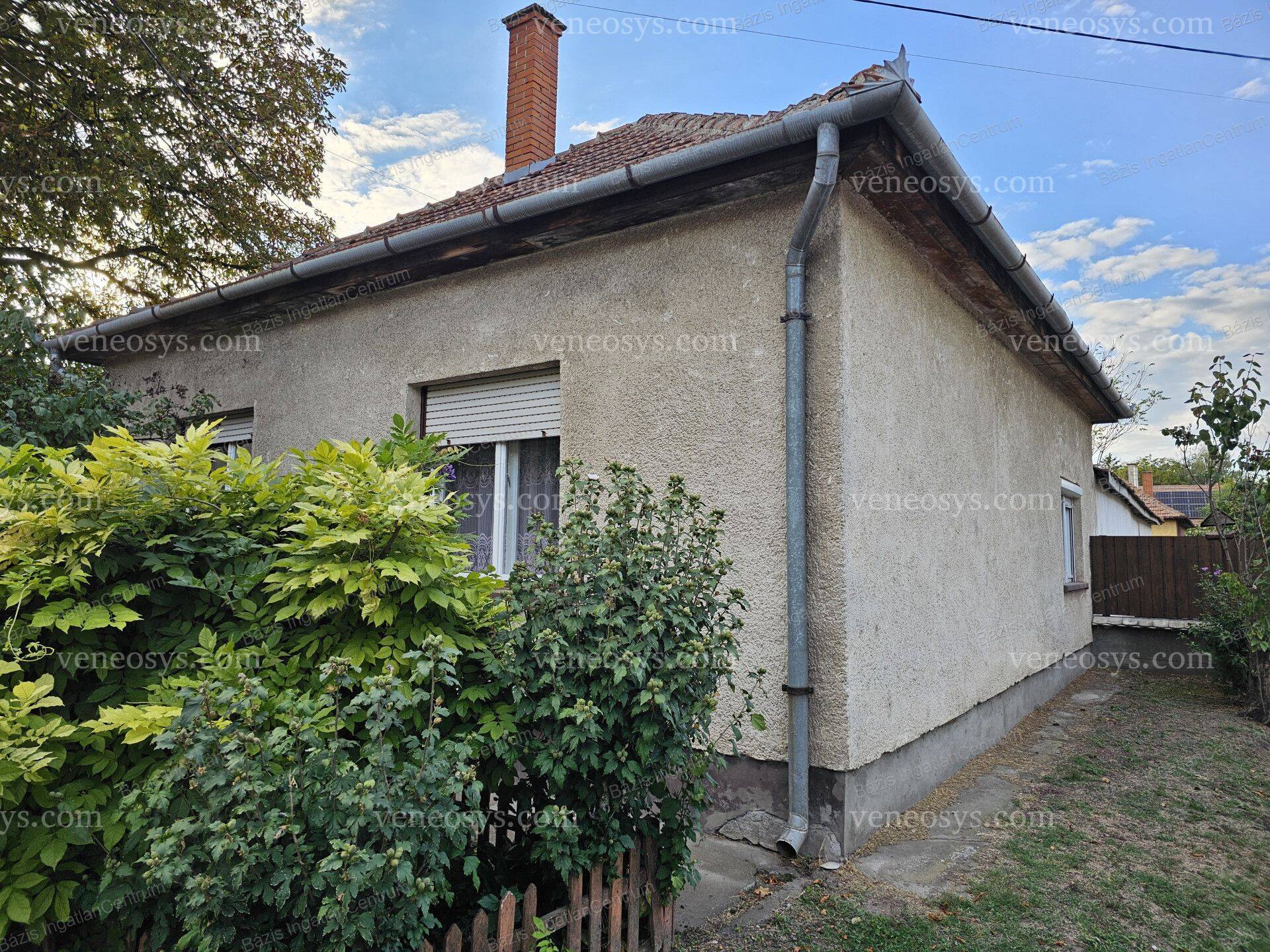 Kép 13