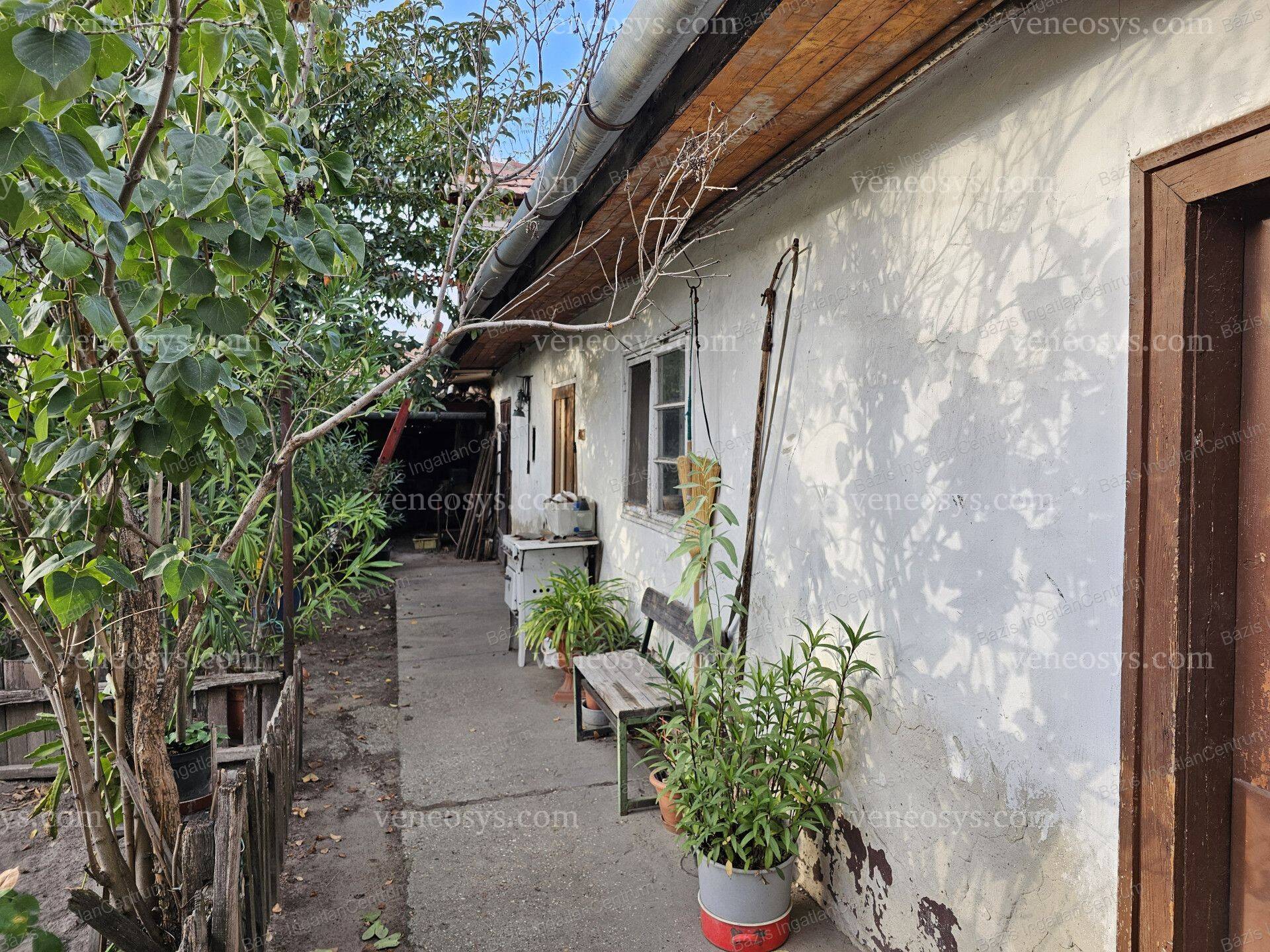 Kép 15