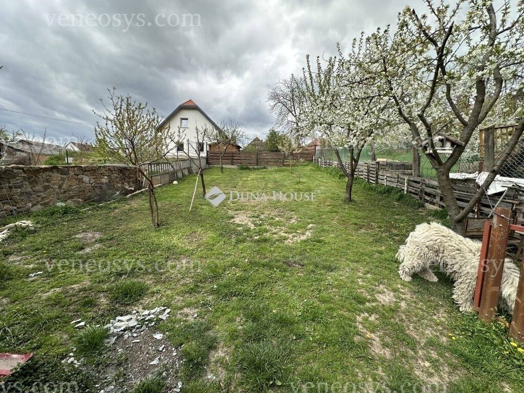Kép 12