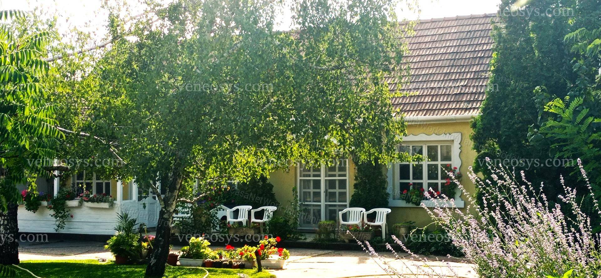 Kép 24