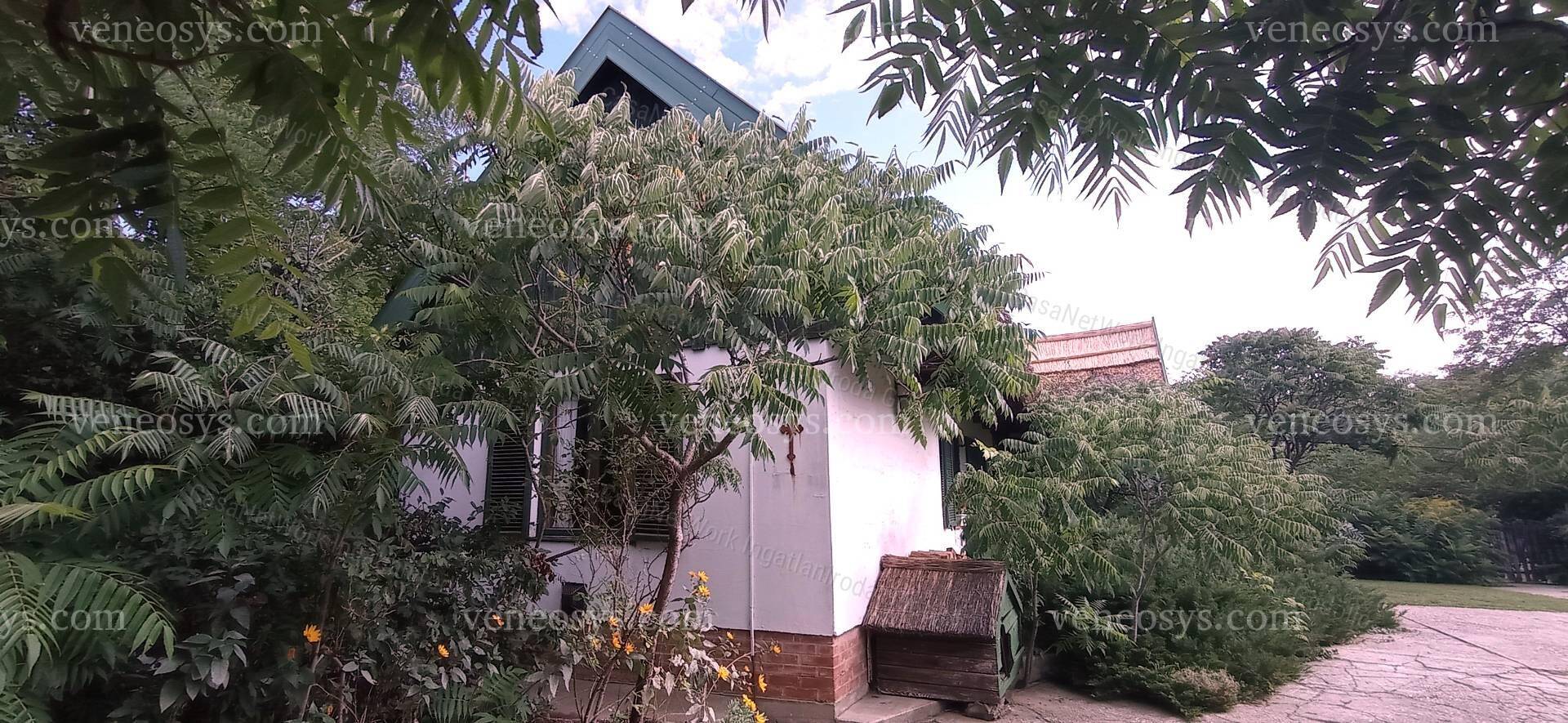 Kép 19