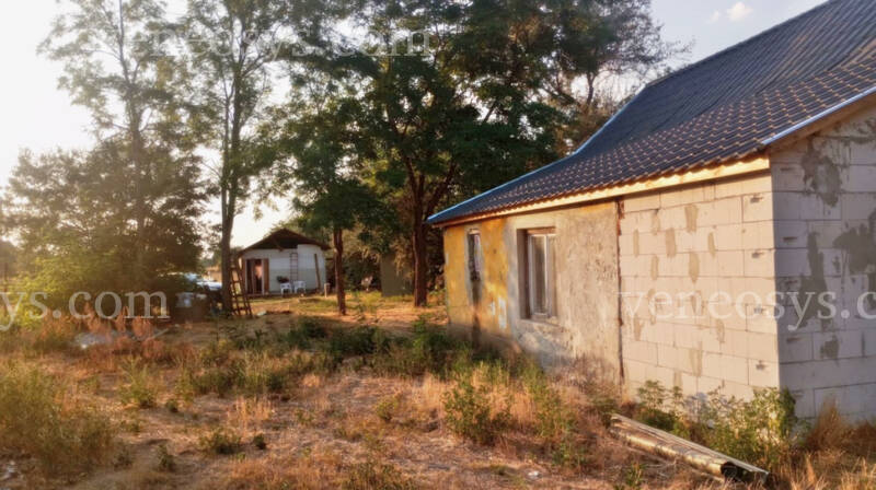 Kép 5