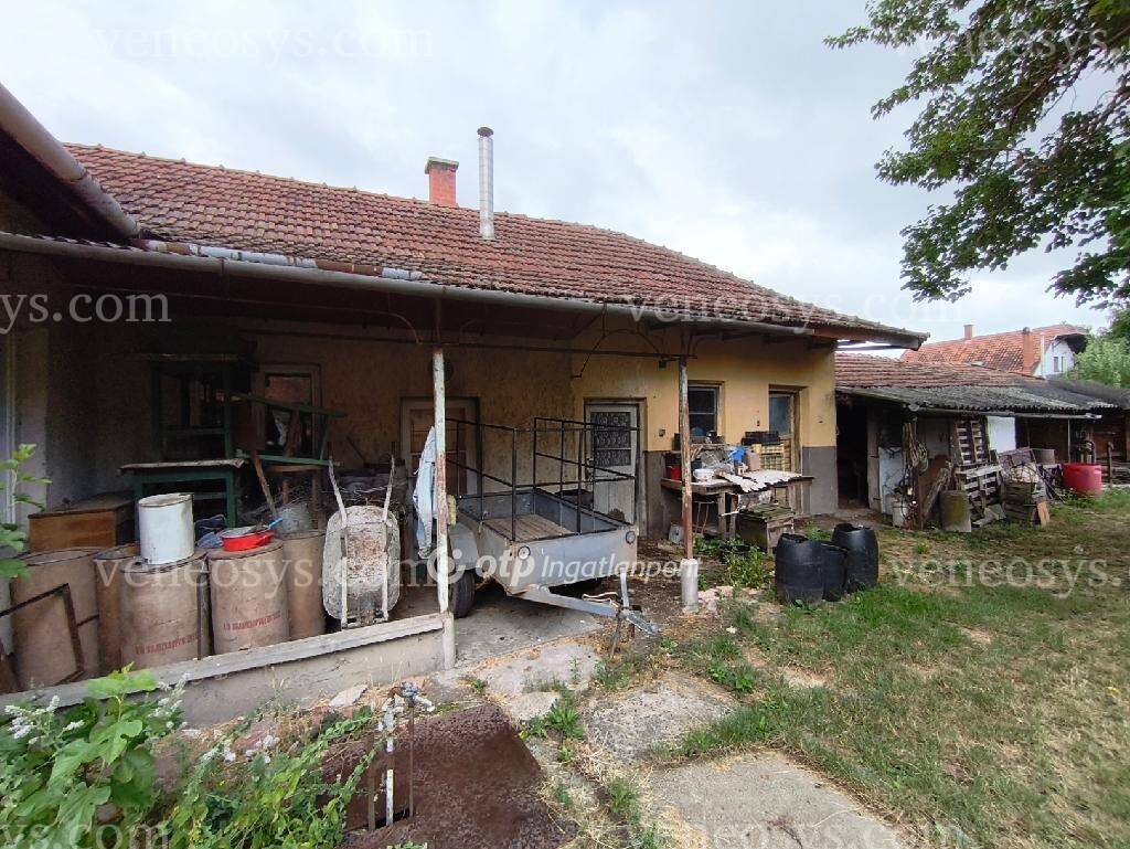 Kép 22