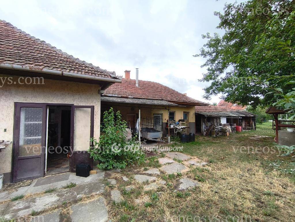 Kép 6