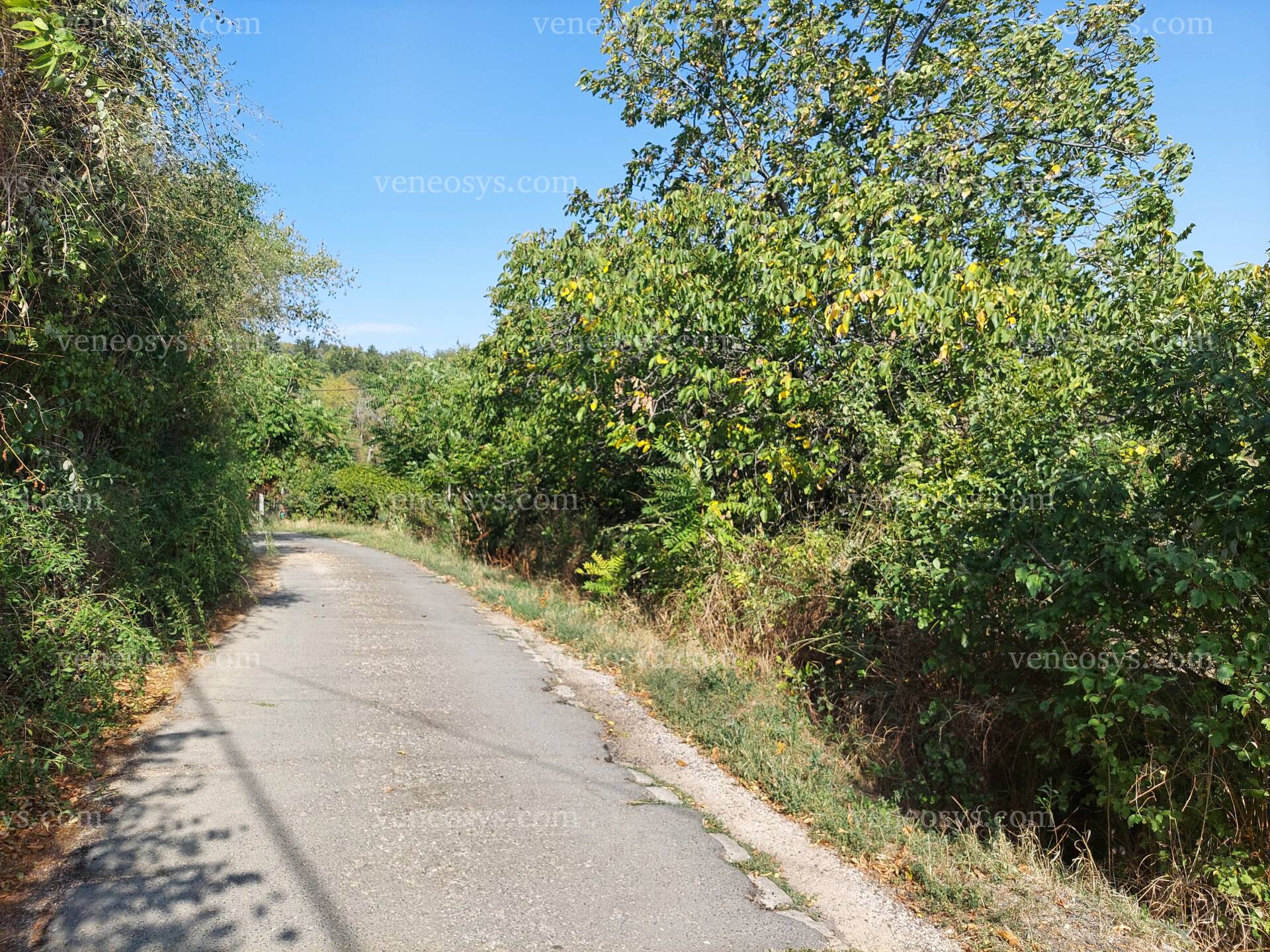 Kép 10