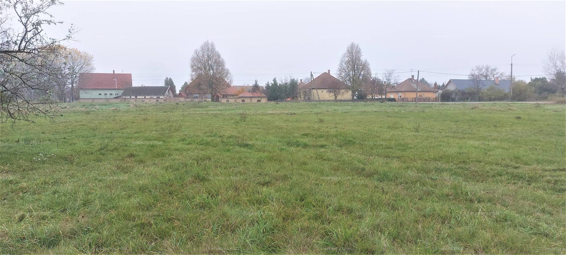 Kunszentmiklós