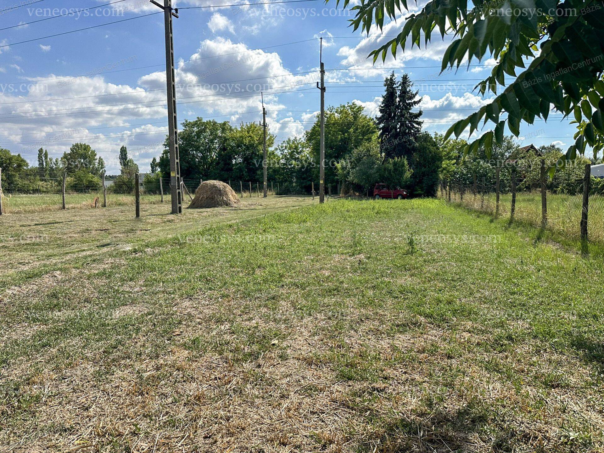 Kép 11