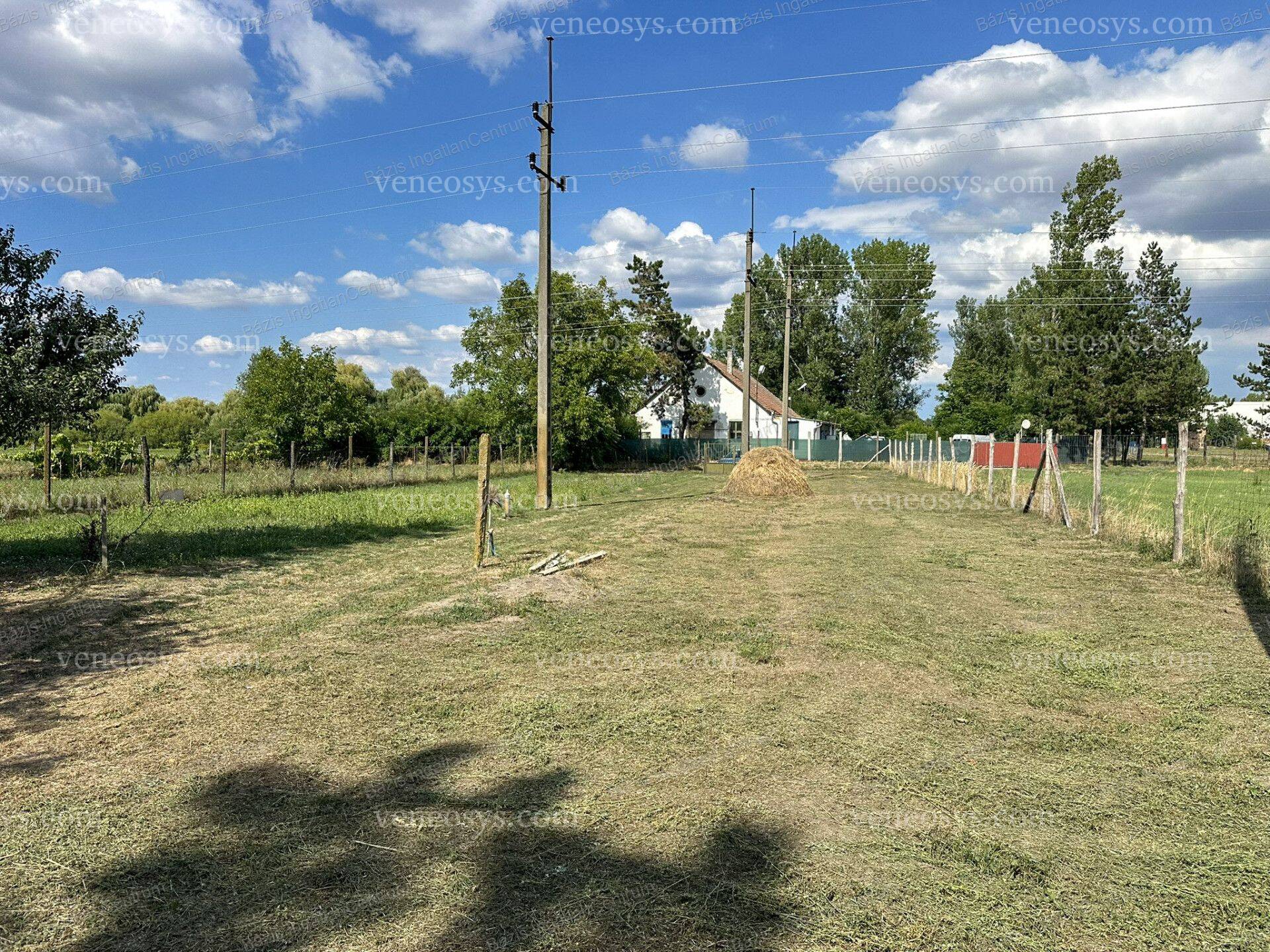 Kép 12