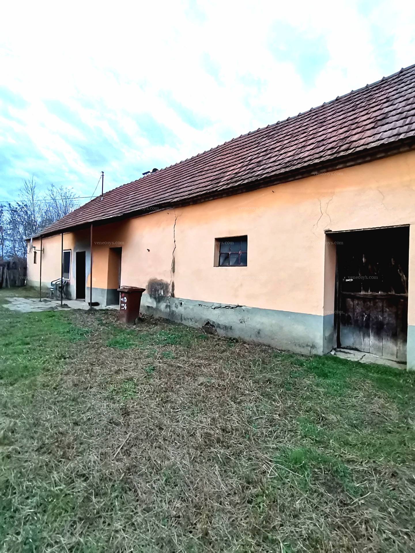 Kép 6
