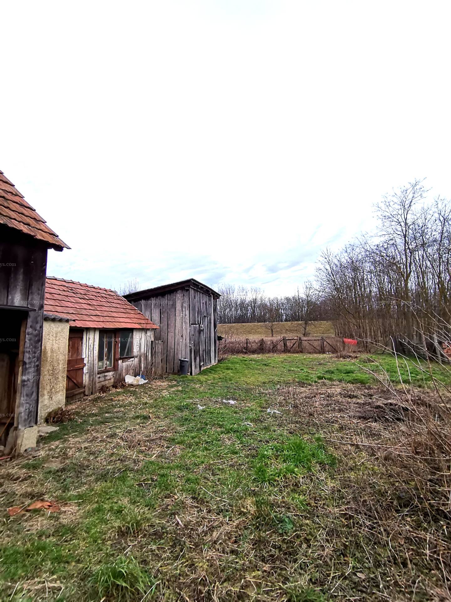 Kép 5