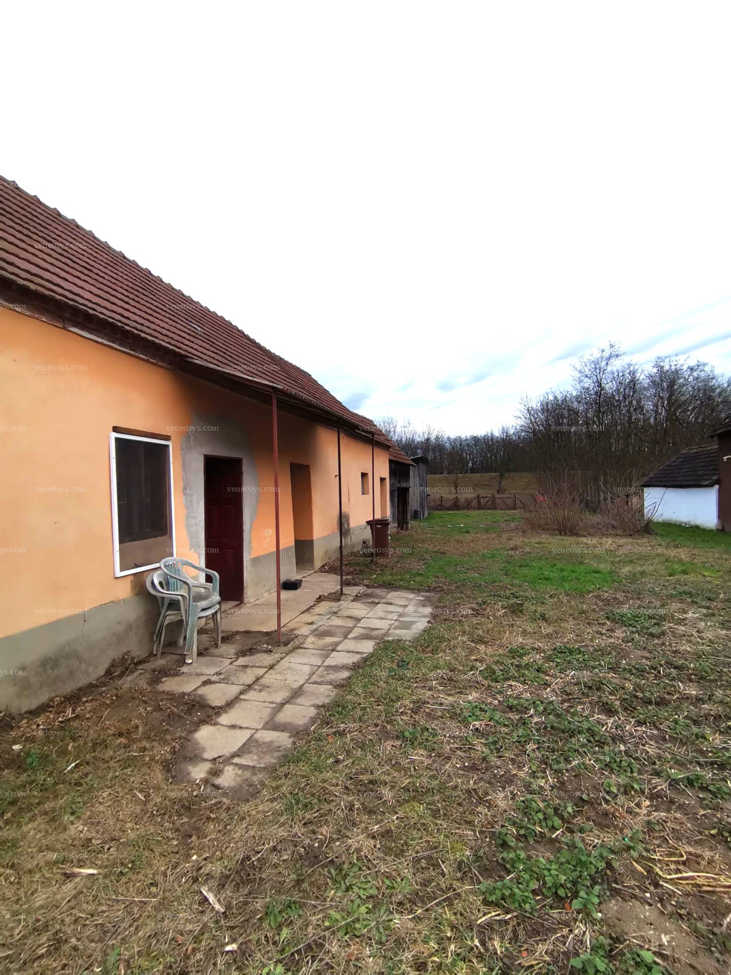 Kép 4