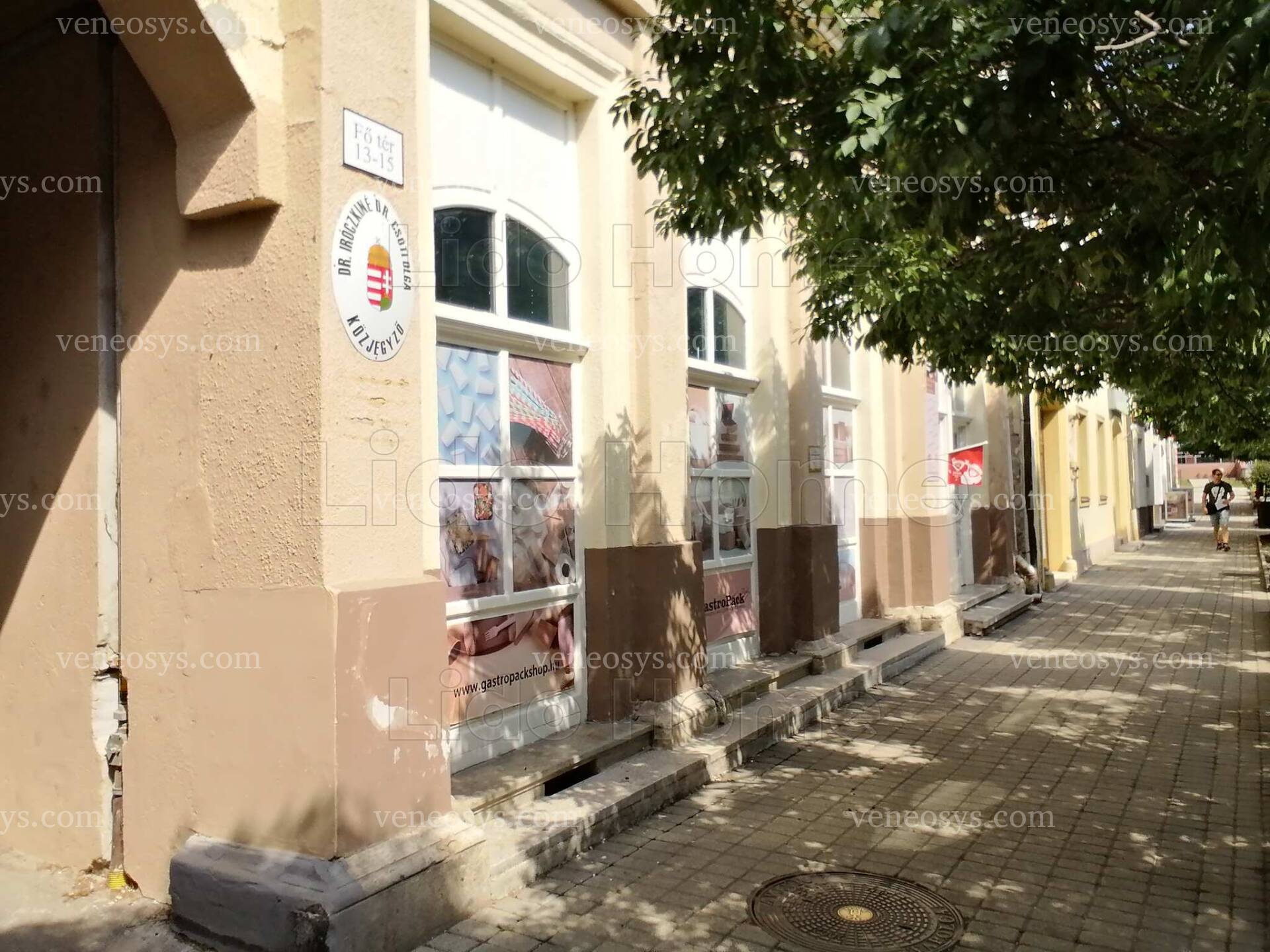 Kép 11
