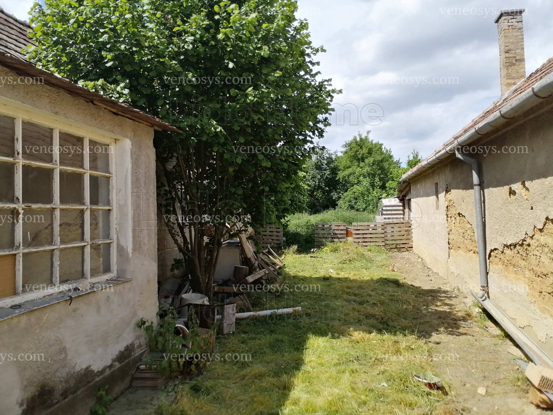 Kép 11