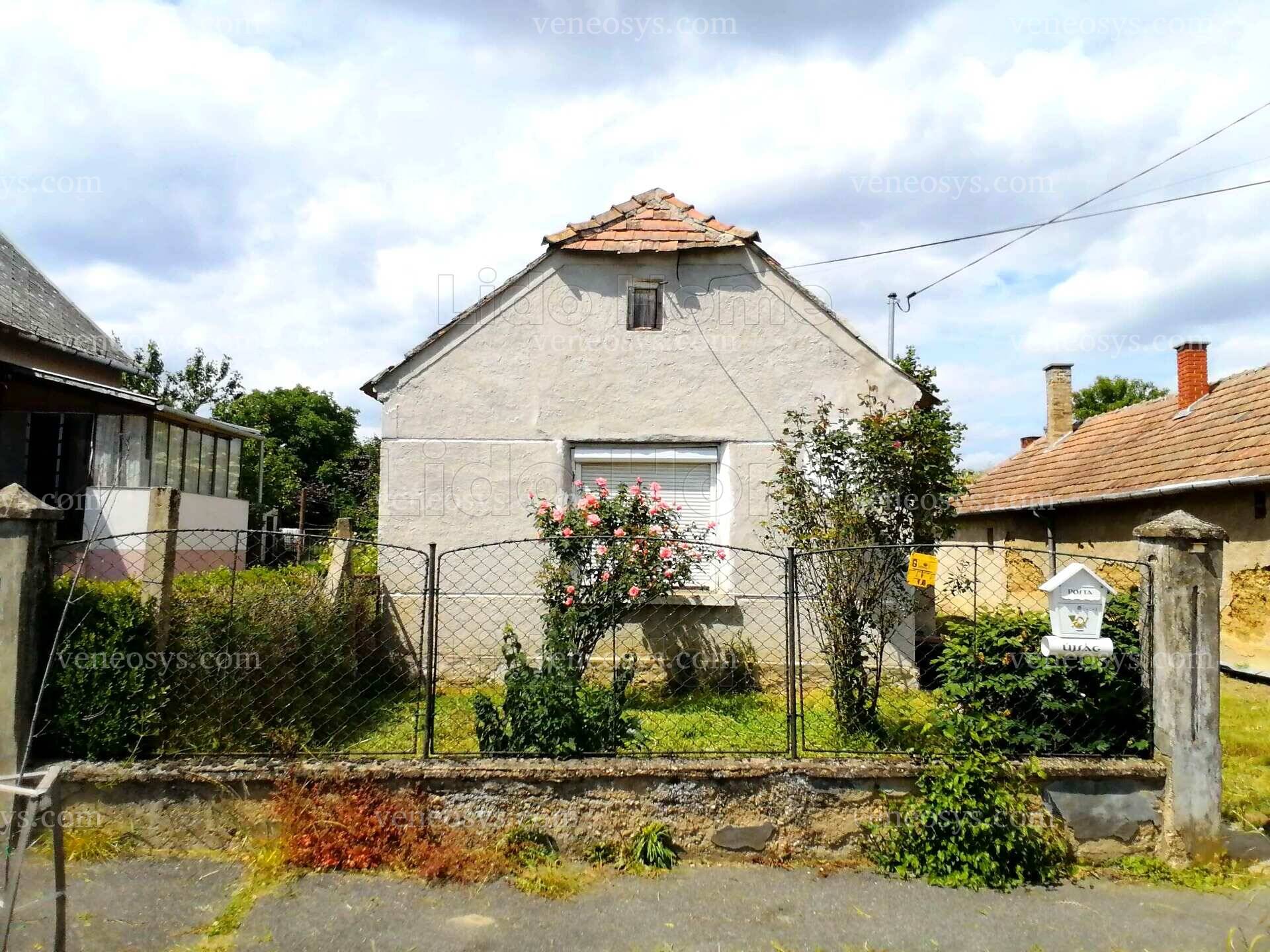 Kép 1