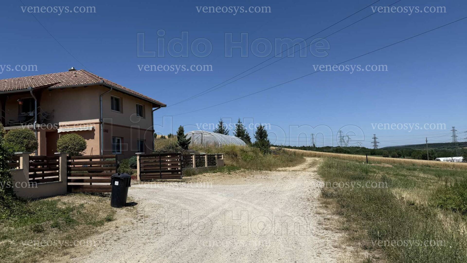 Kép 5