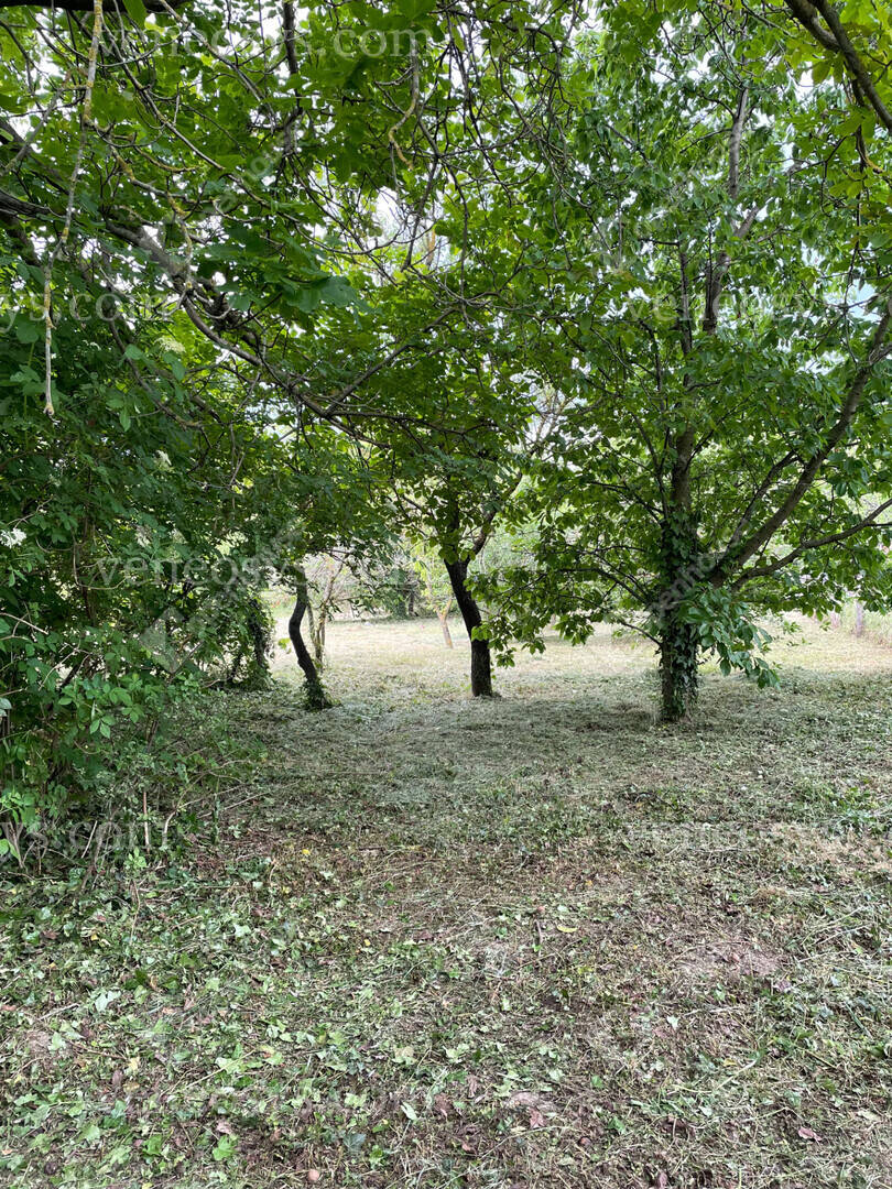 Kép 6