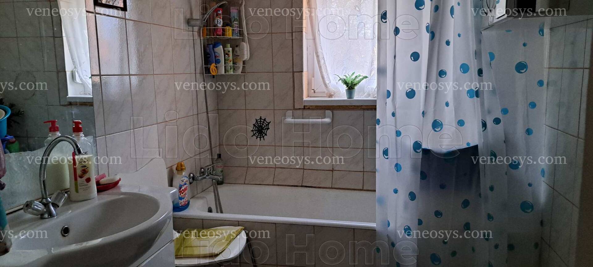 Kép 16