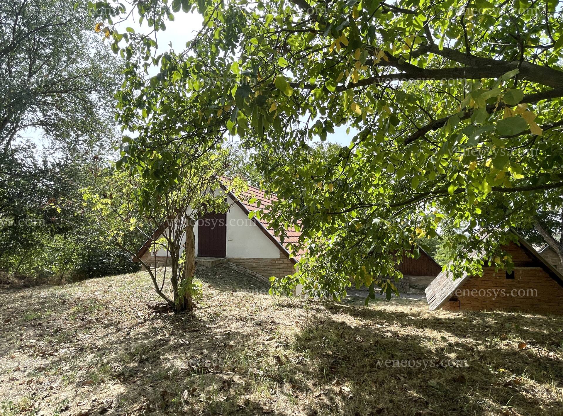 Kép 20