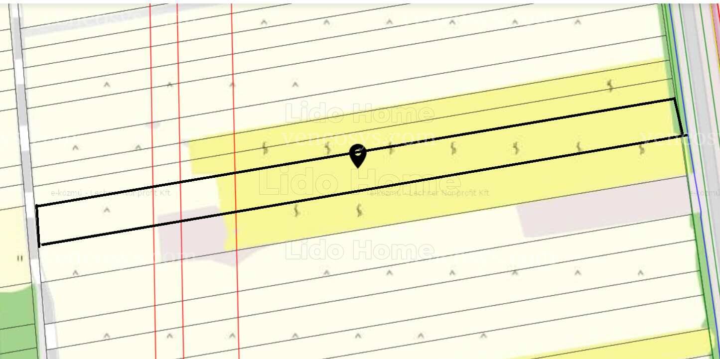 Kép 2