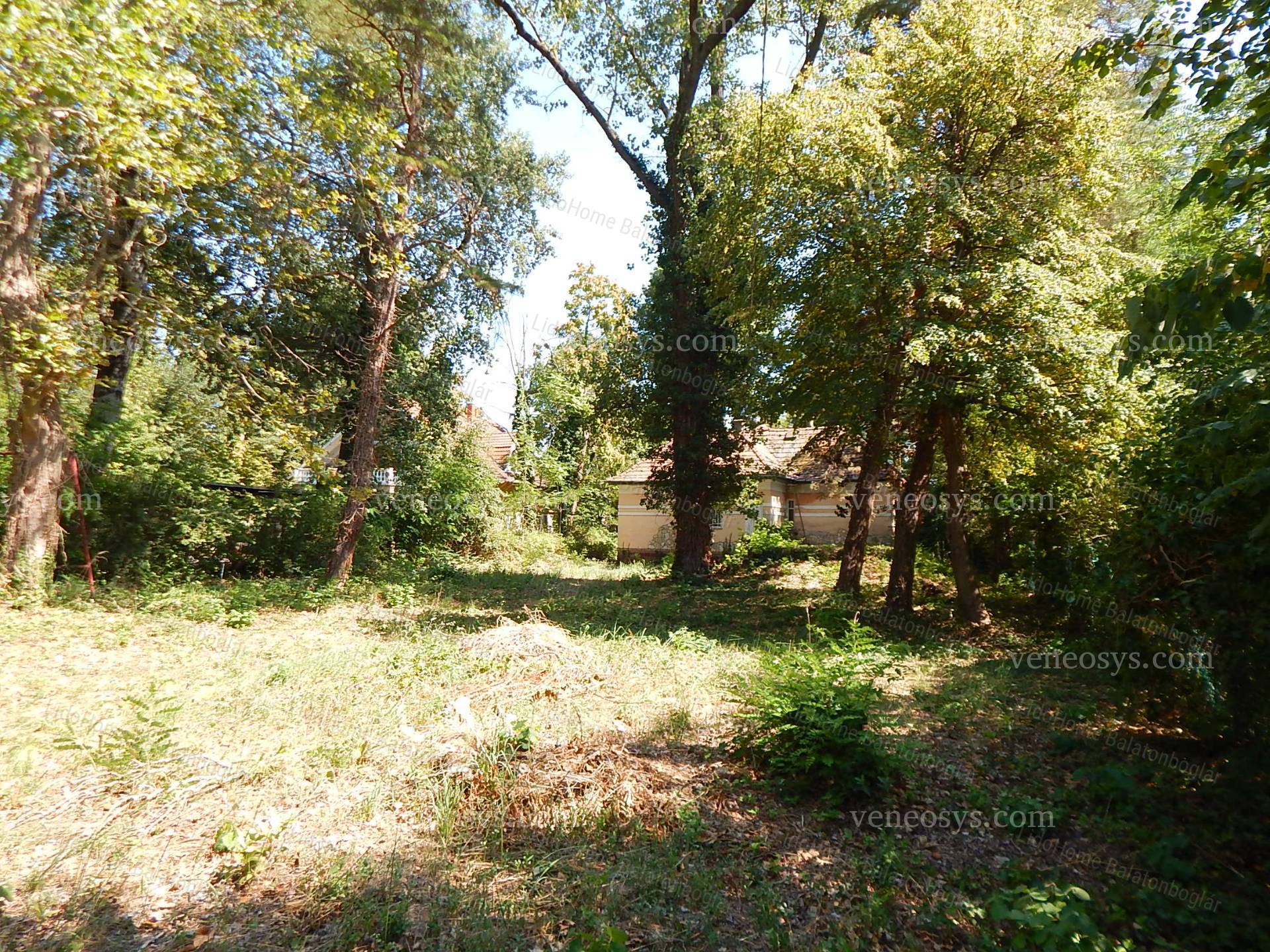 Kép 9