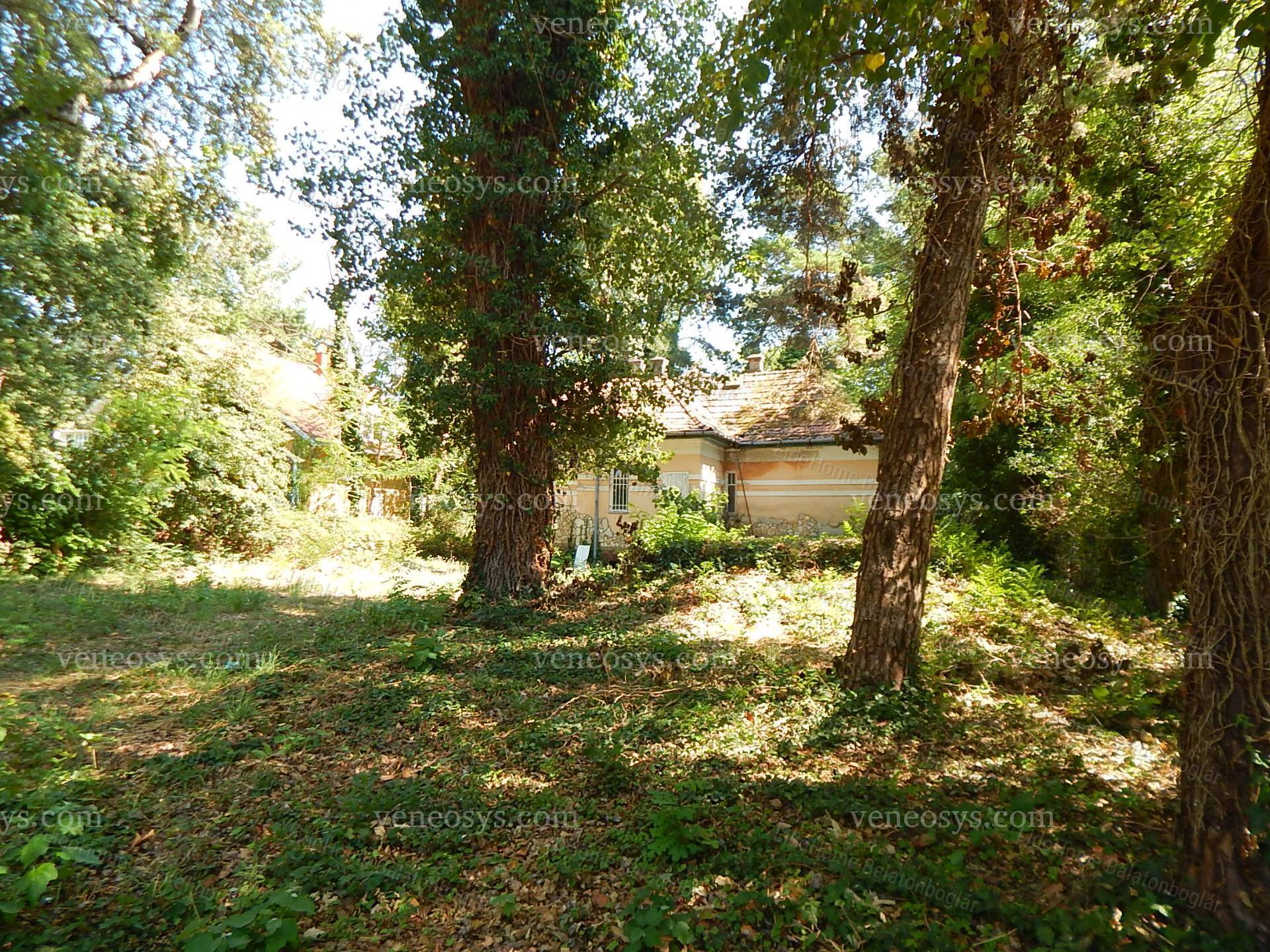 Kép 7