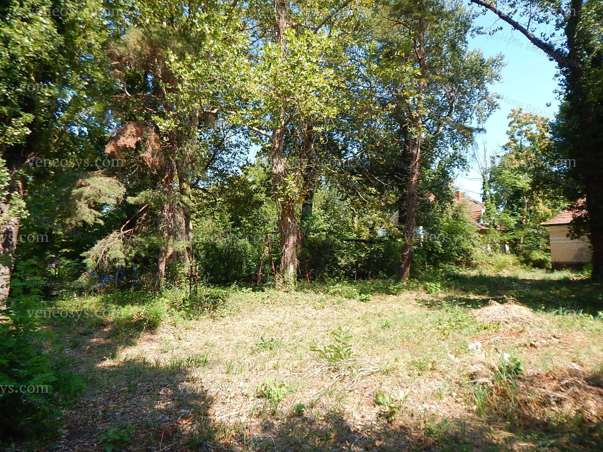 Kép 3