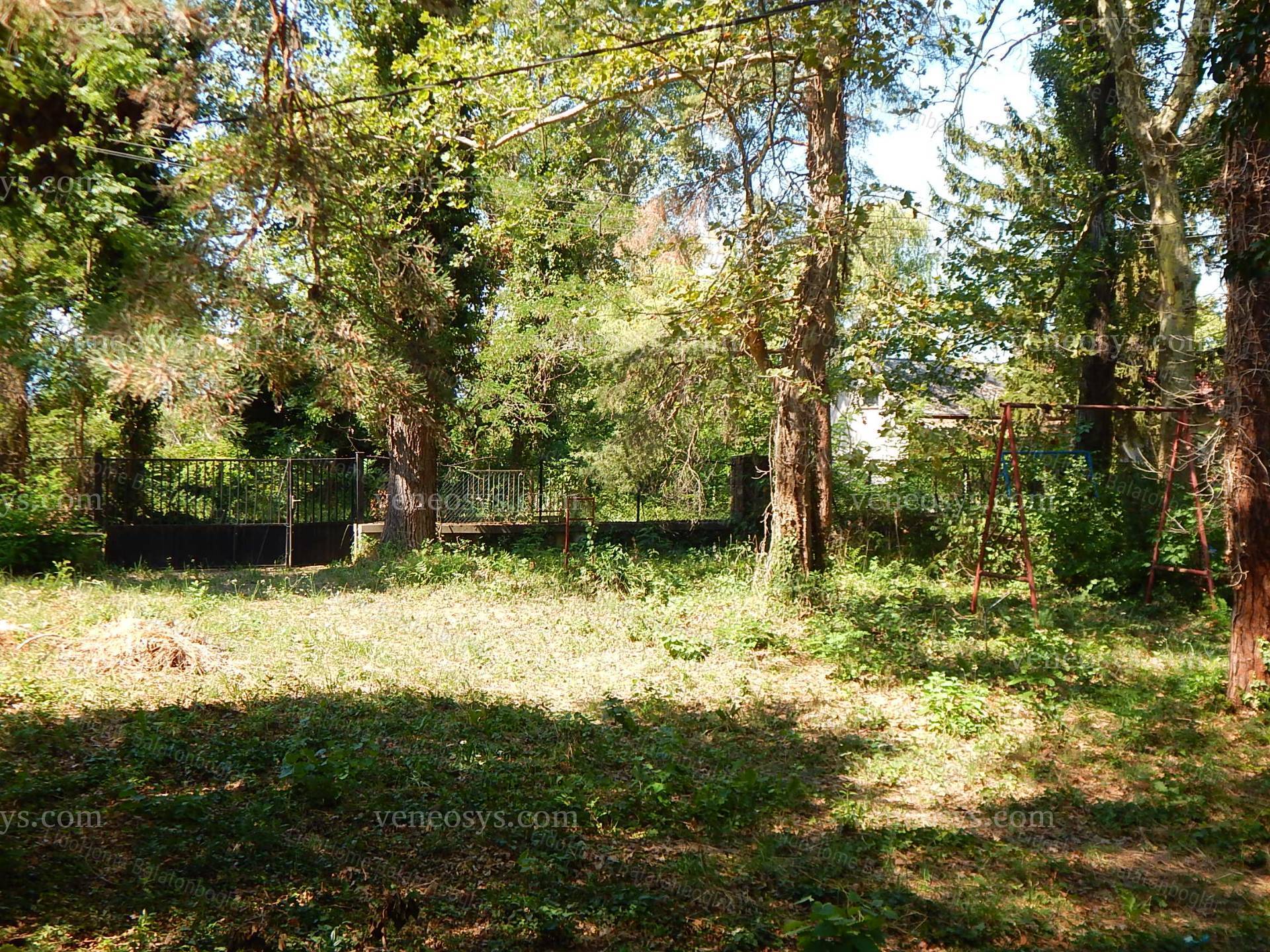 Kép 11