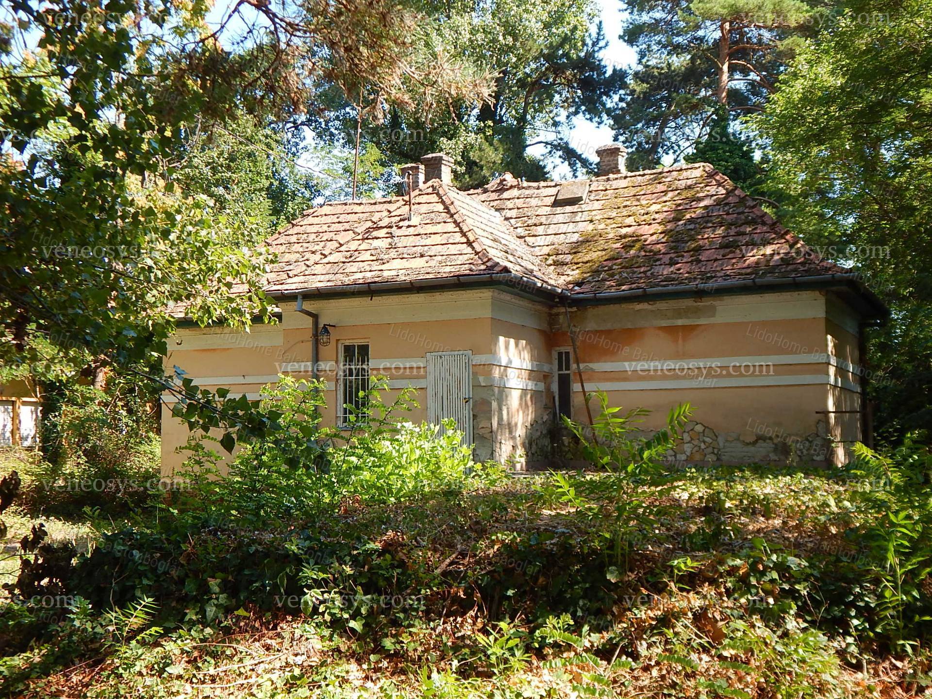 Kép 15
