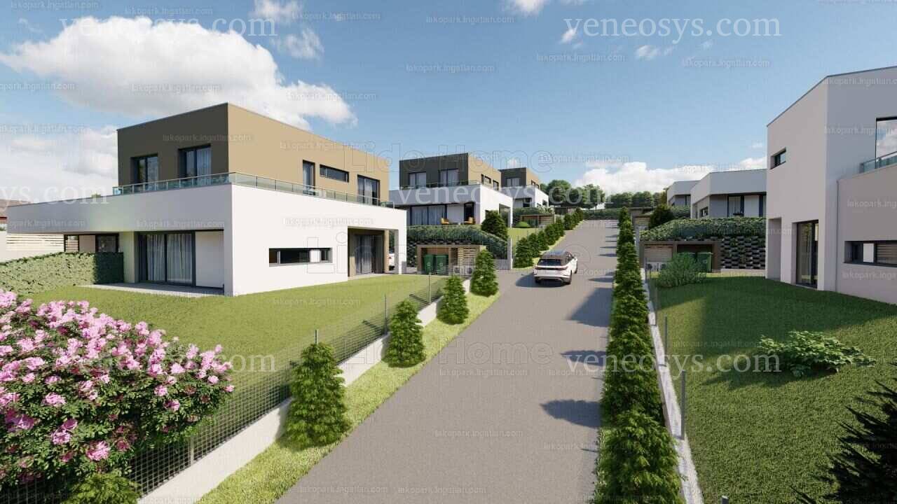 Kép 6