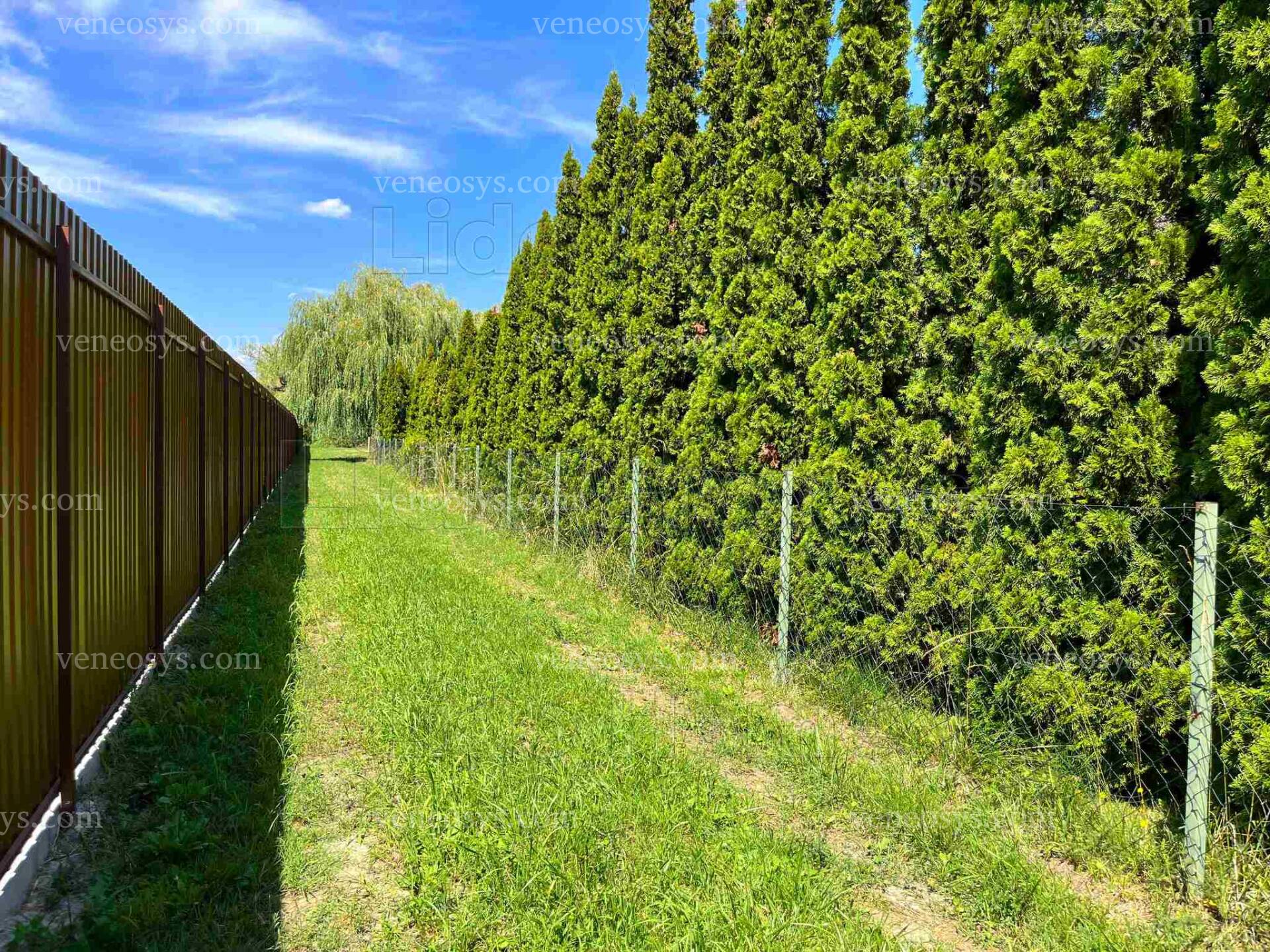 Kép 7