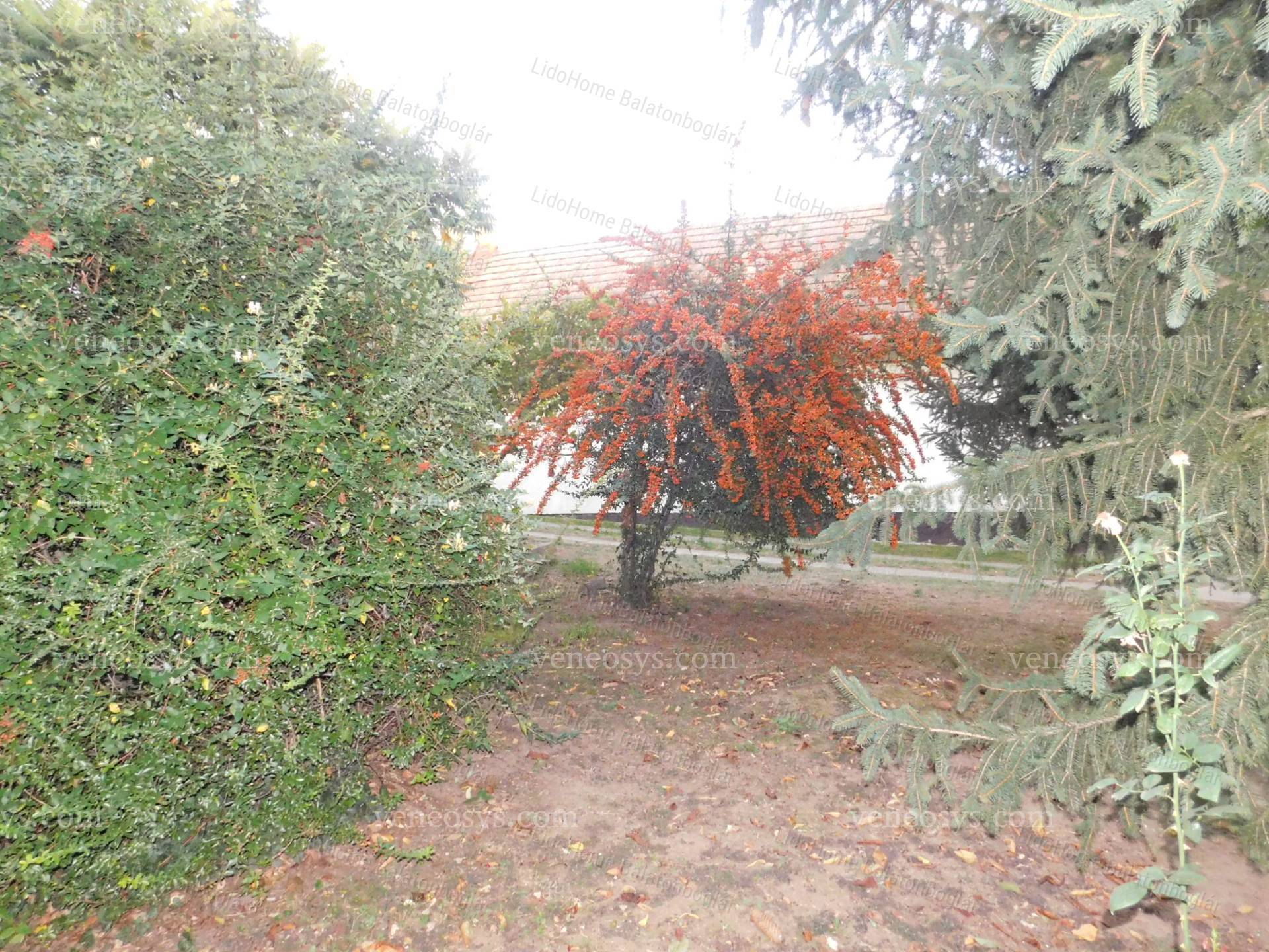 Kép 18