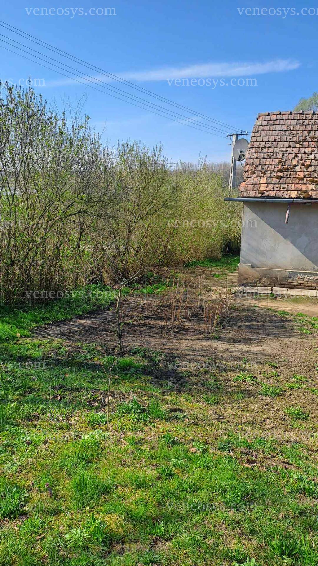 Kép 9