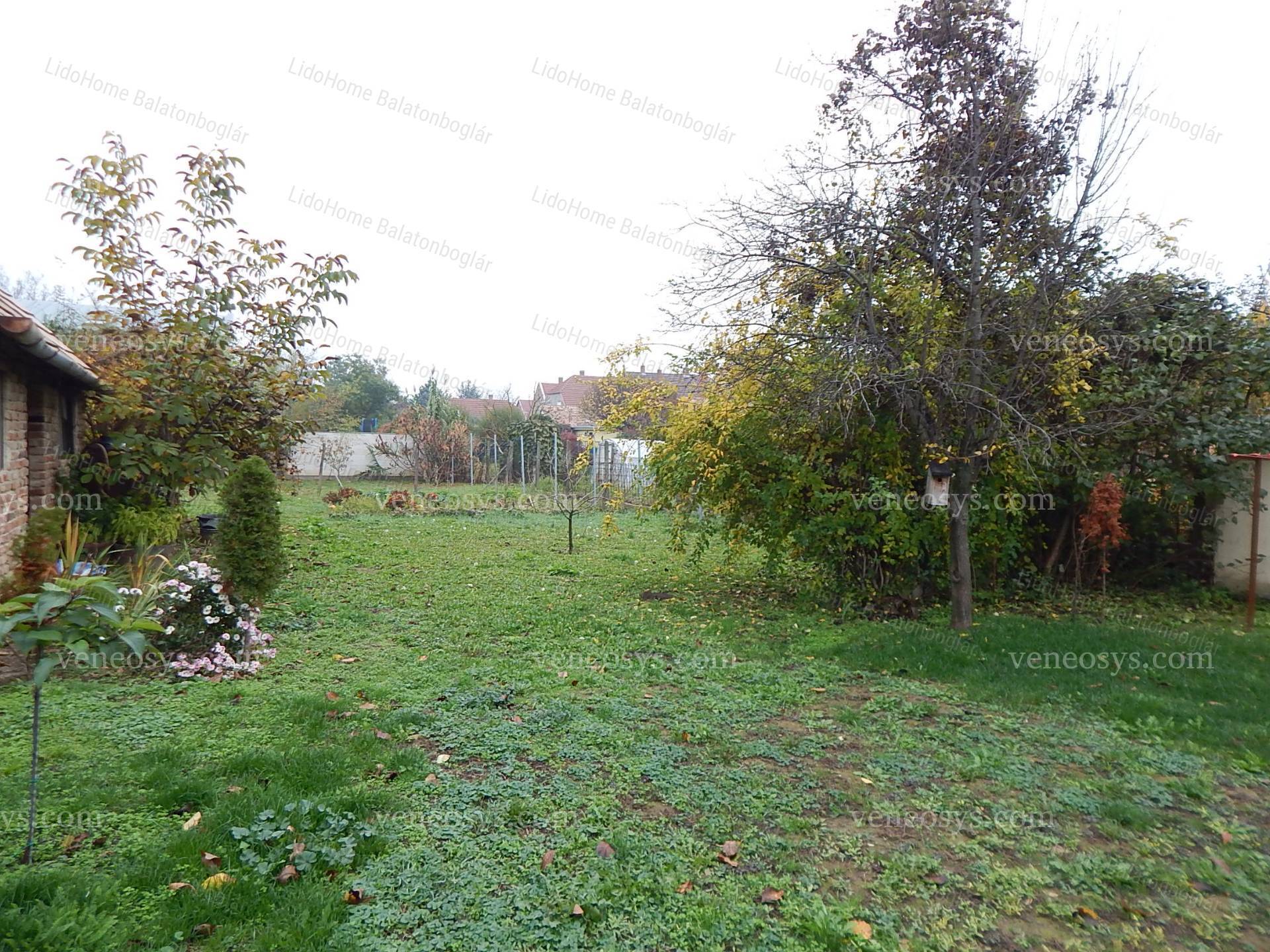 Kép 16