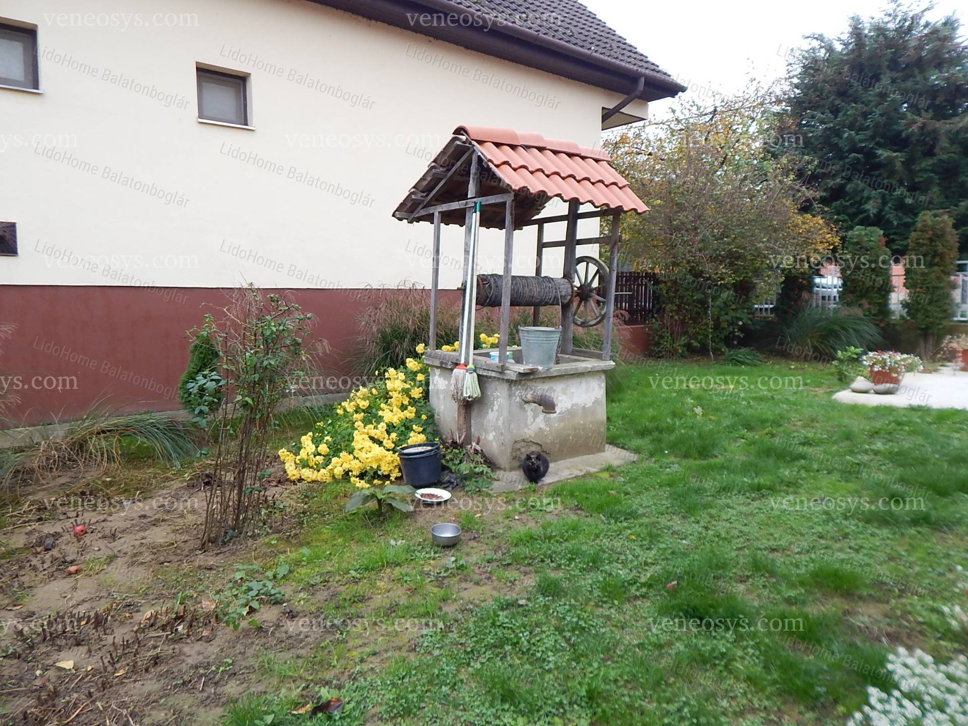 Kép 15
