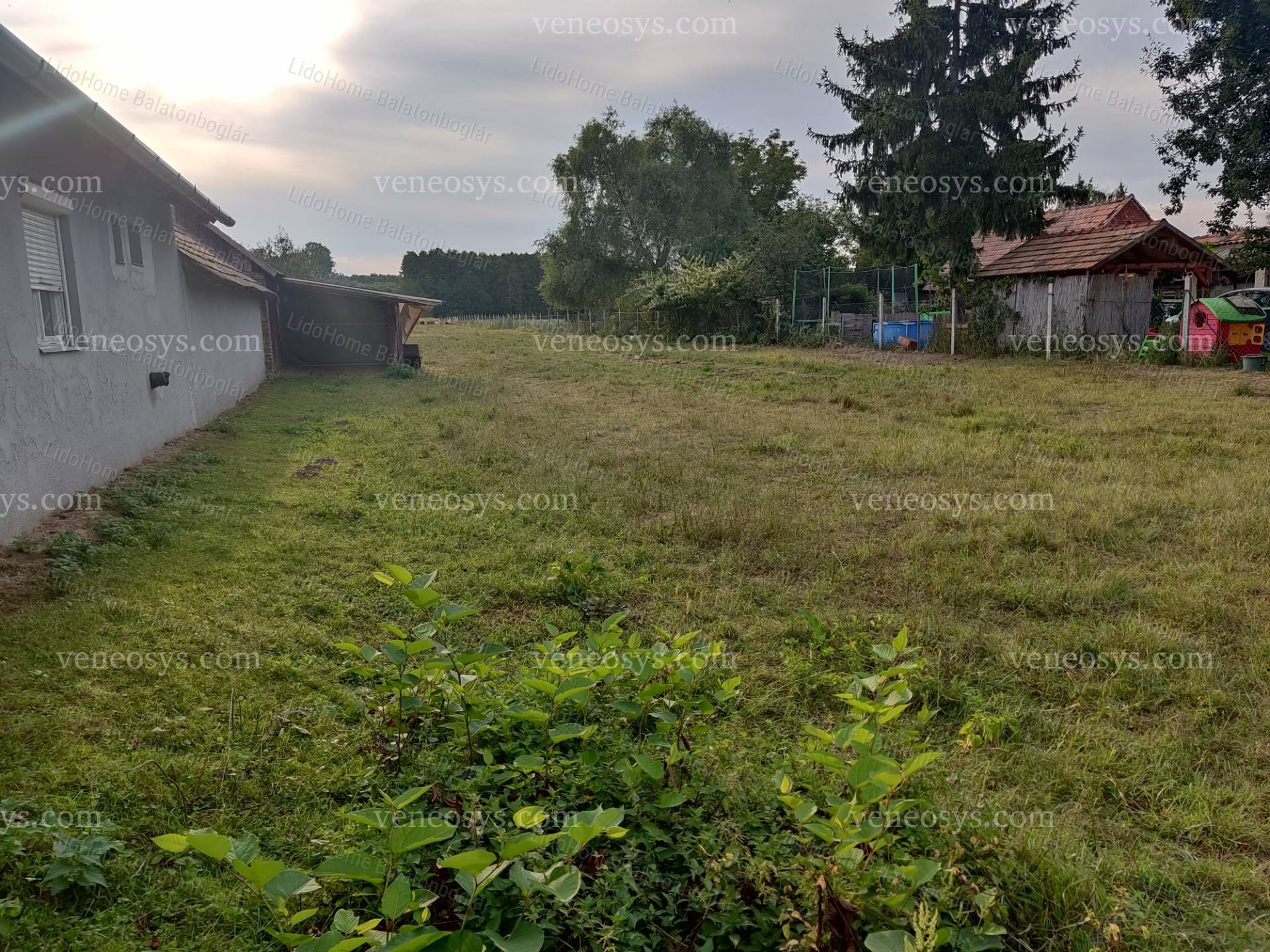 Kép 4