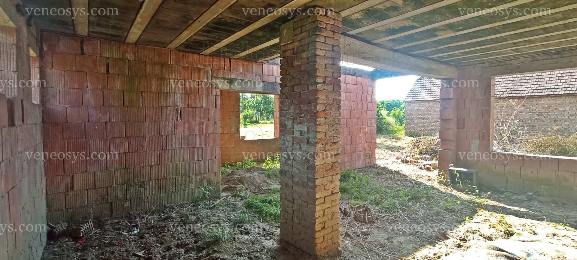 Kép 5