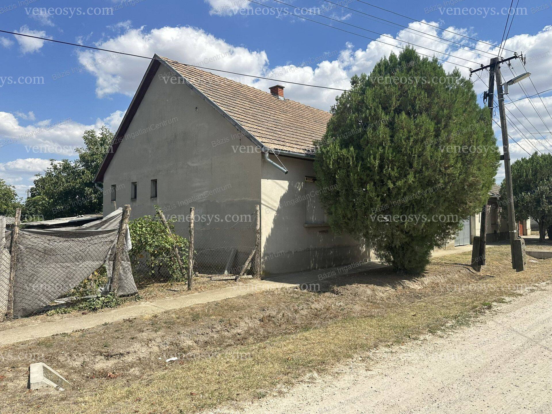 Kép 15