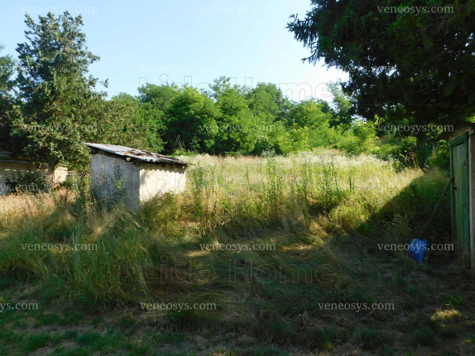 Kép 15
