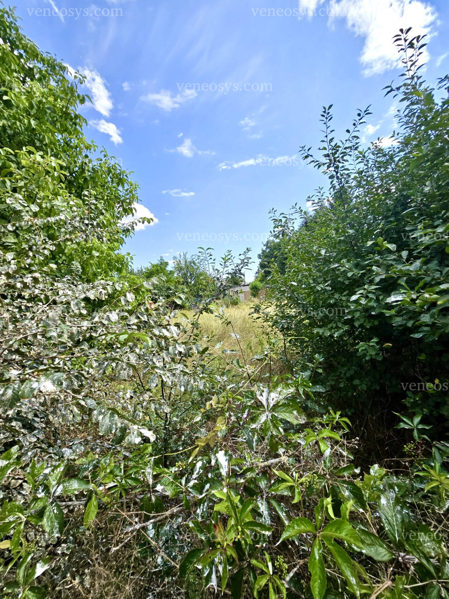 Kép 4