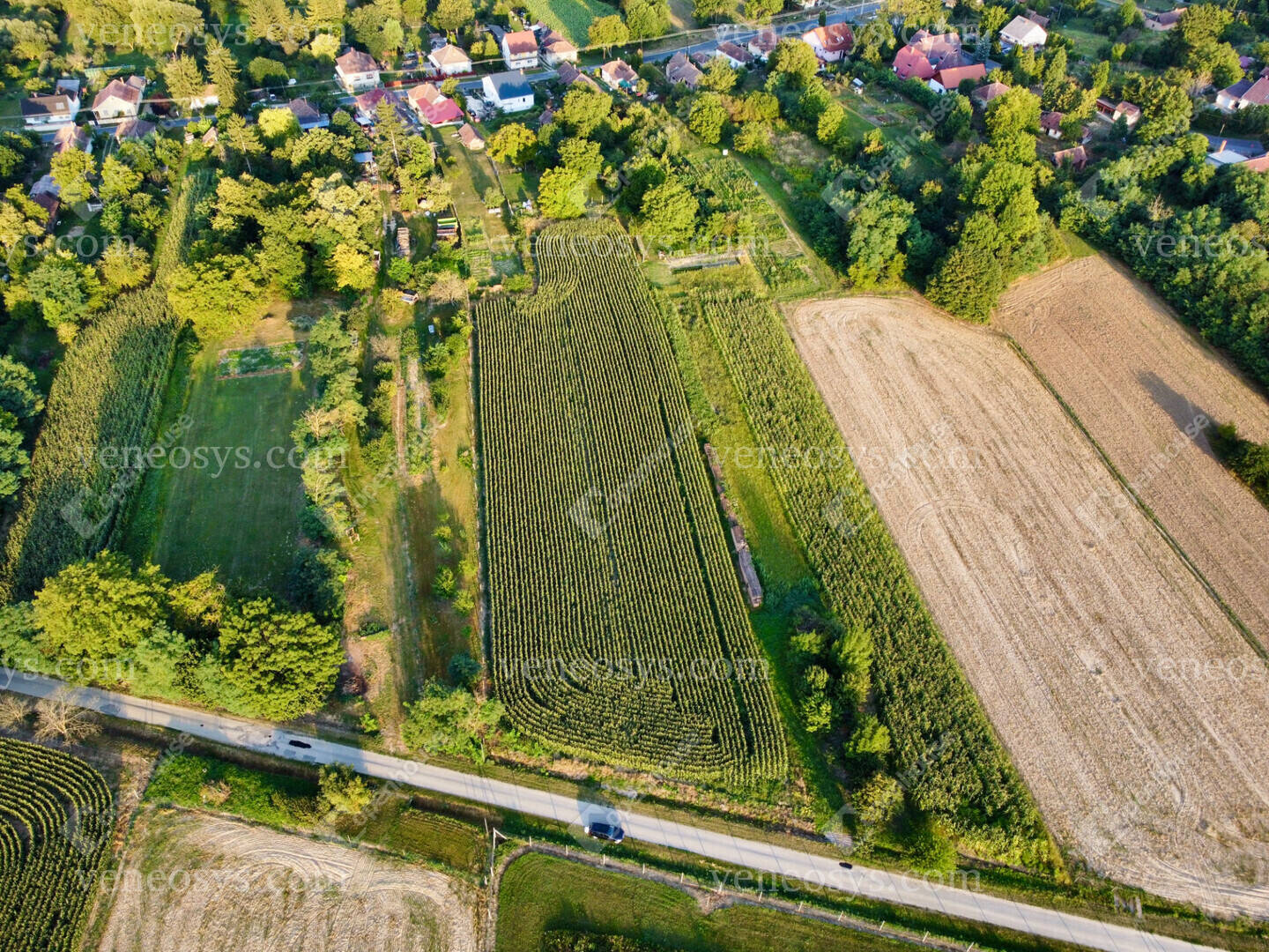 Kép 18