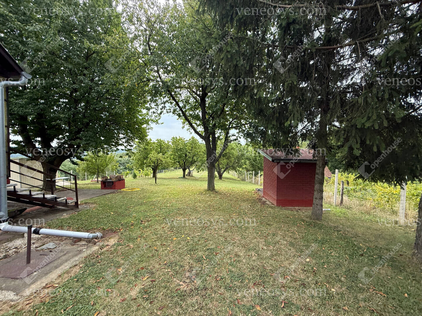 Kép 13