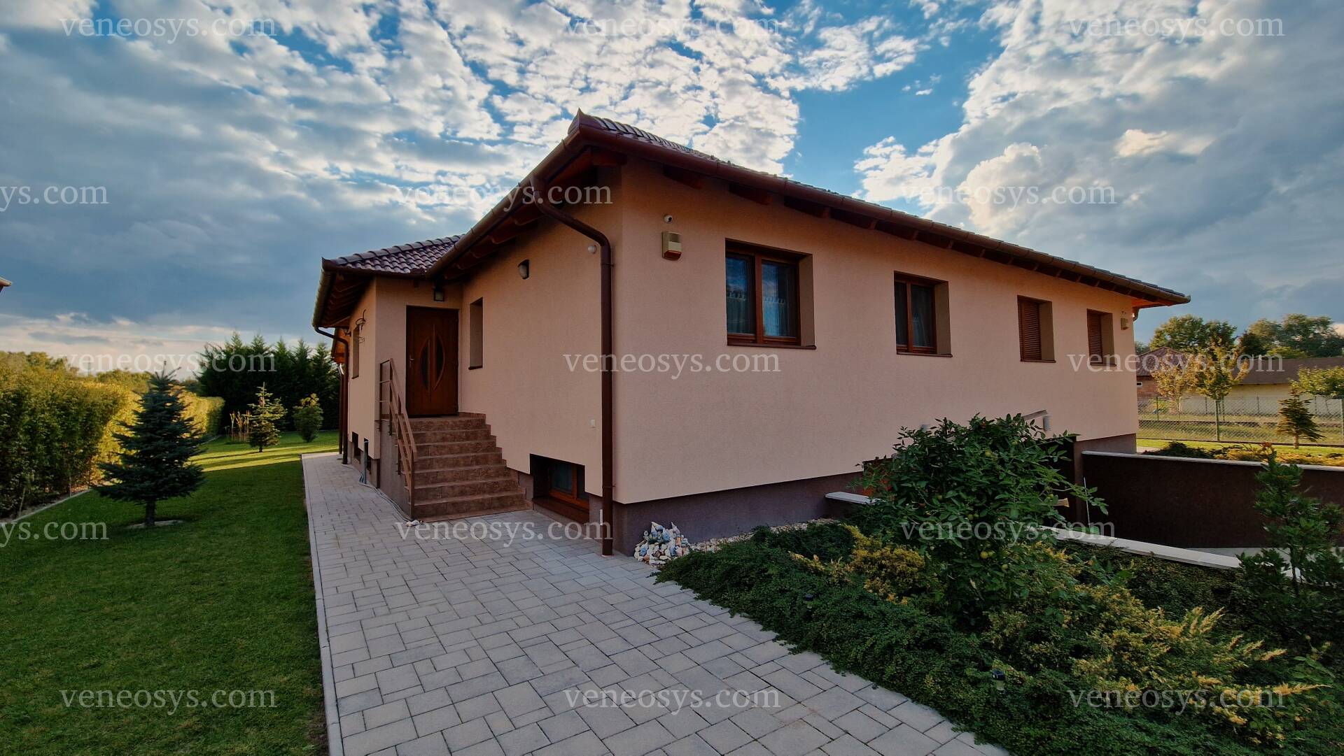 Kép 5