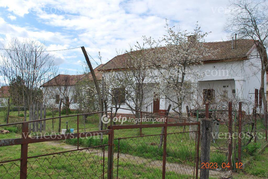 Kép 26